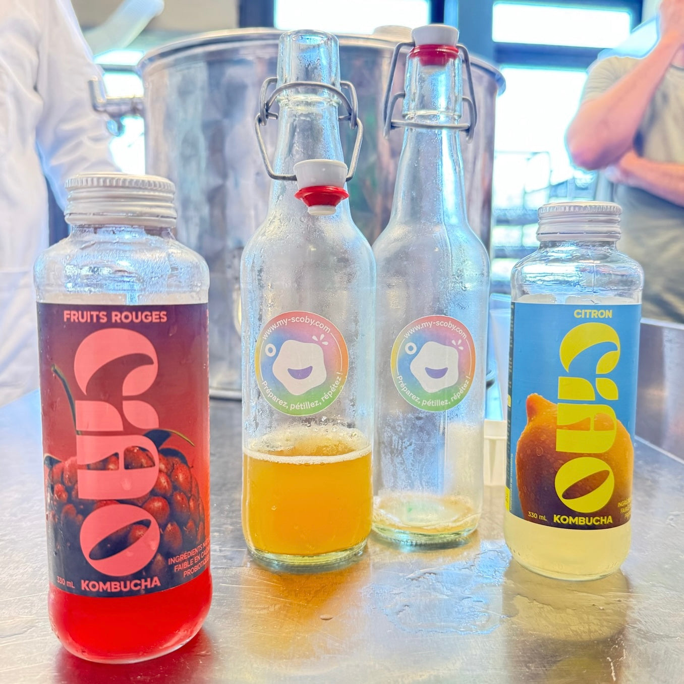 L'équipe My Scoby a gouté Ciao Kombucha : top ou flop ?