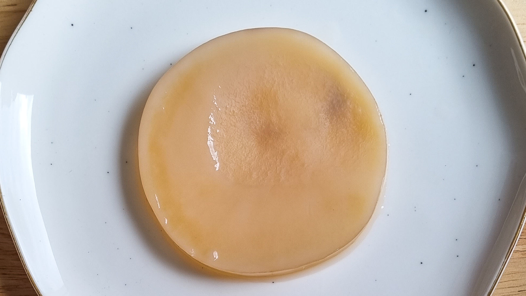 Kombucha moisi : comment éviter et traiter la moisissure