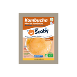 Organic Kombucha Mother