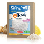 Grains de kéfir de fruit BIO
