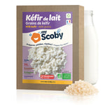 Grains de kéfir de lait BIO