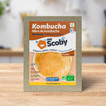 Mère de kombucha BIO