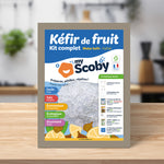 Kit kéfir de fruit