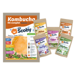 Pack du fermenteur - Kombucha