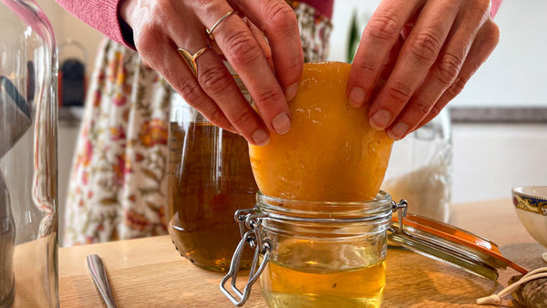 Comment conserver une mère de Kombucha ? (Au repos ou en pause)