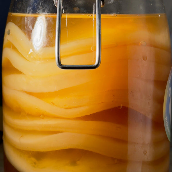 Qu'est-ce-qu'un bébé SCOBY de kombucha ?