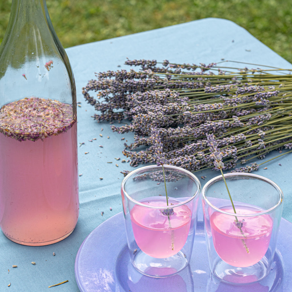 Pack découverte
