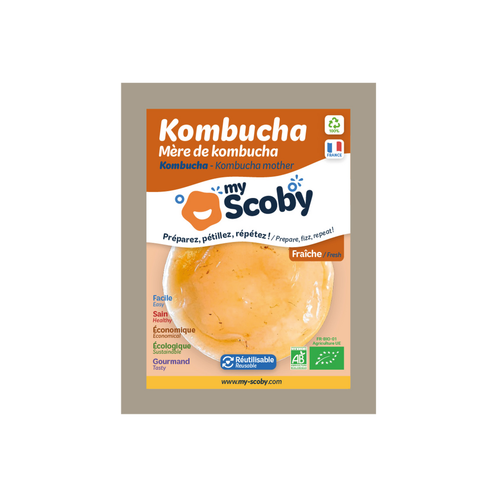 Organic Kombucha Mother