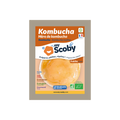 Organic Kombucha Mother