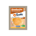 Organic Kombucha Mother