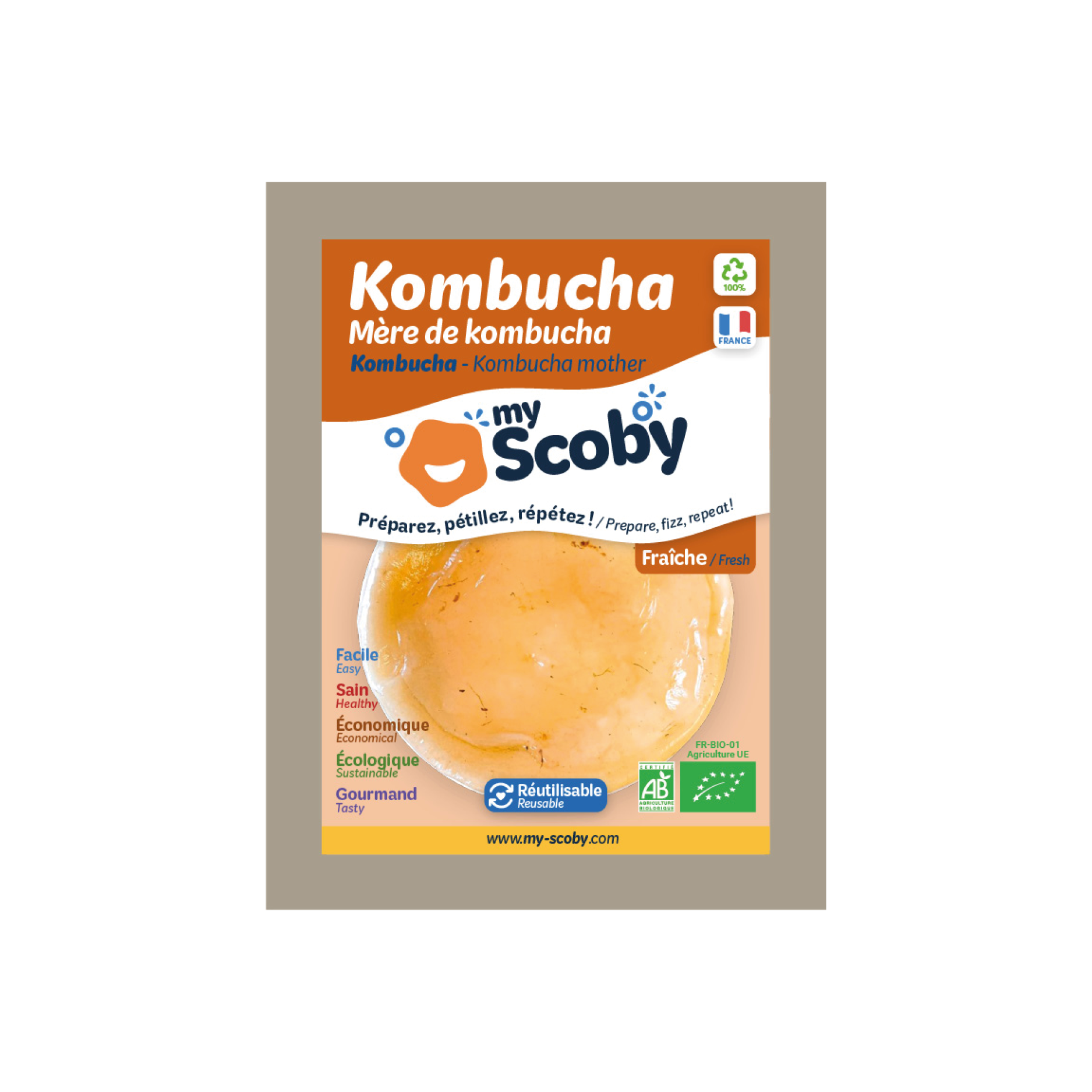 Mère de kombucha BIO - Mirakl