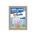 Grains de kéfir de fruit BIO - Mirakl