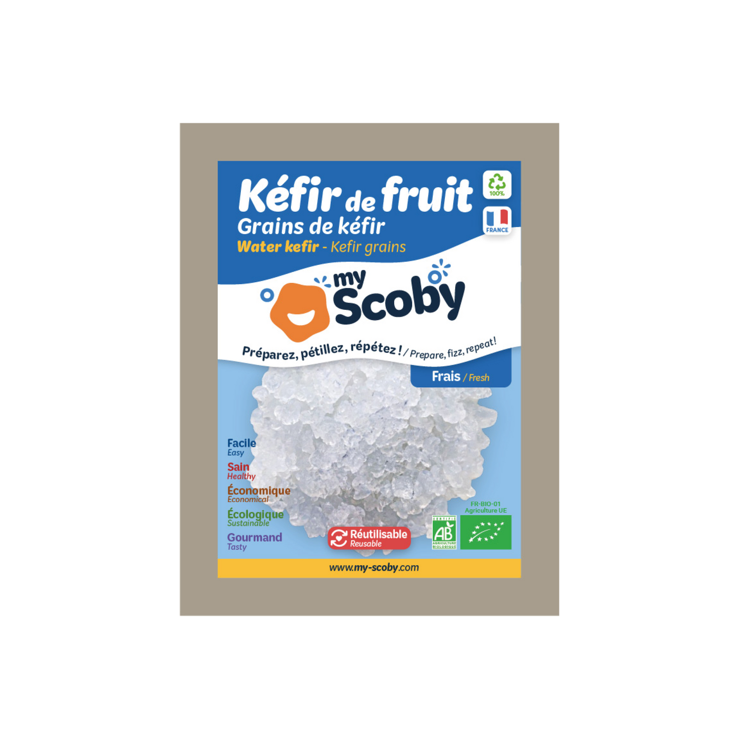 Grains de kéfir de fruit BIO