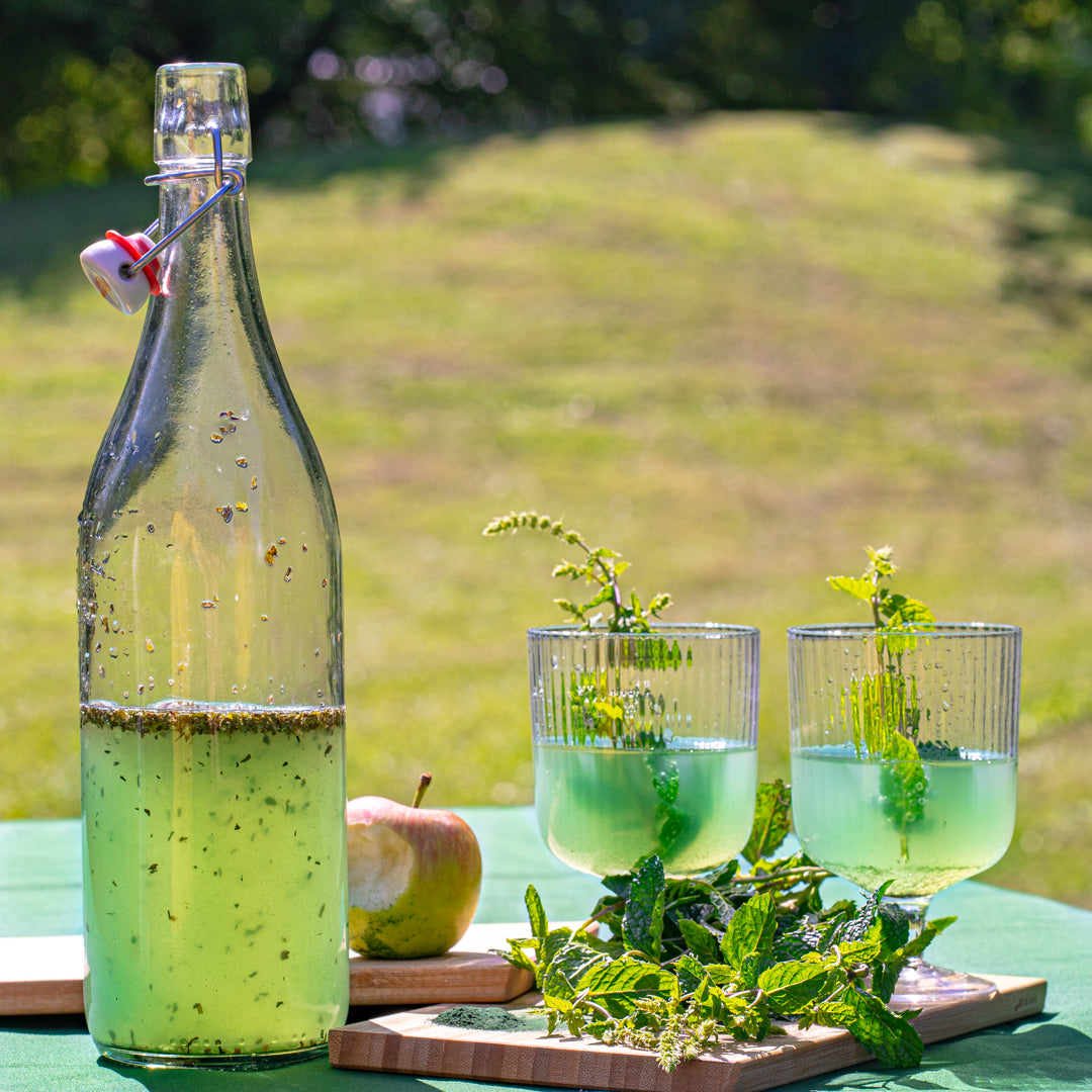 Bouteilles - 2 x 0,5 L