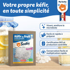 Grains de kéfir de fruit BIO