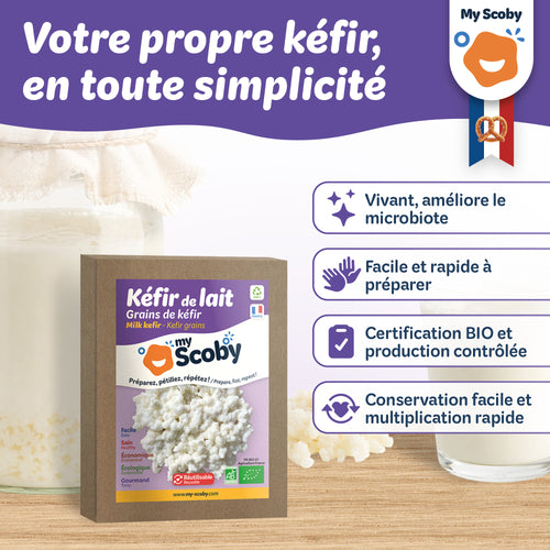 Grains de kéfir de lait BIO