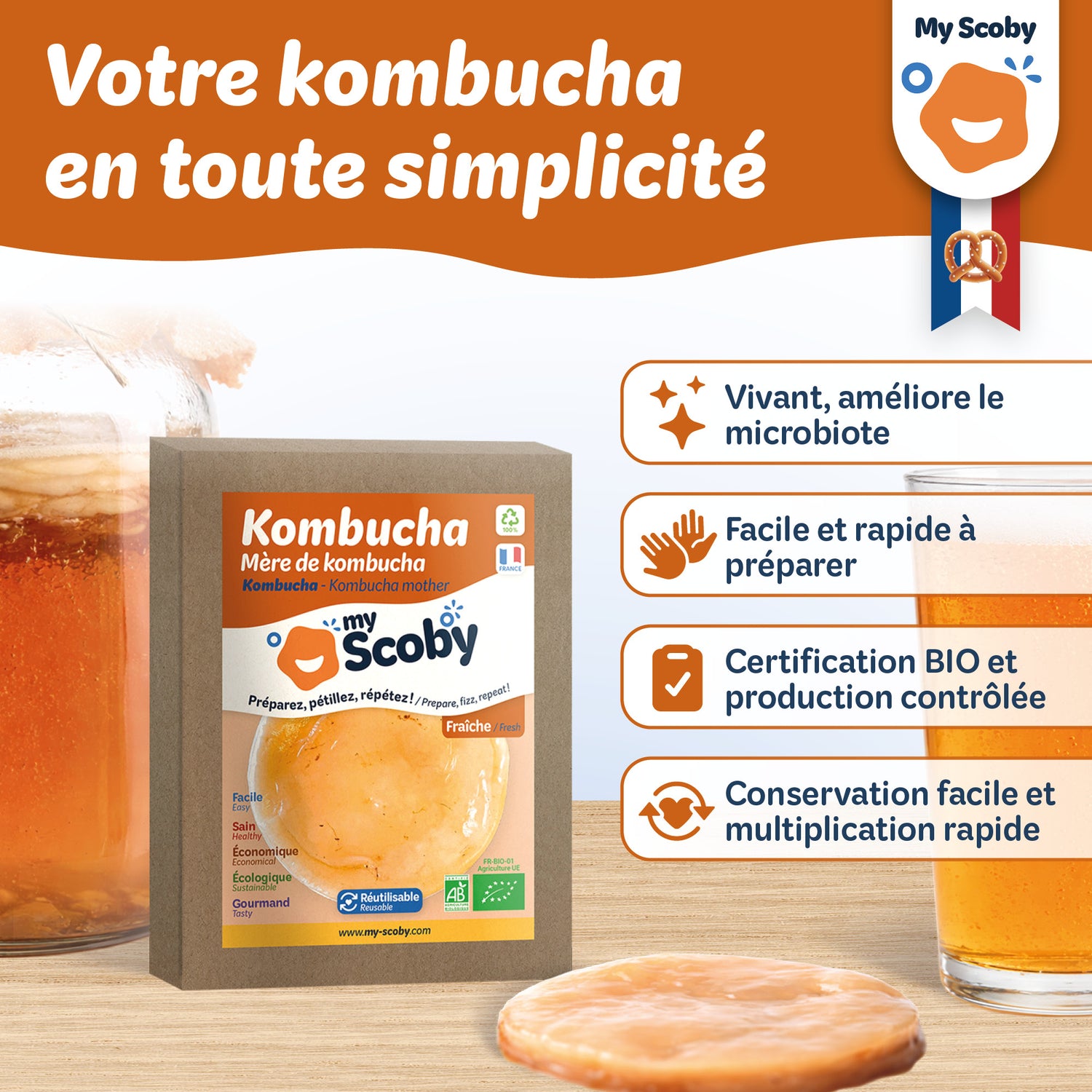 Mère de kombucha BIO