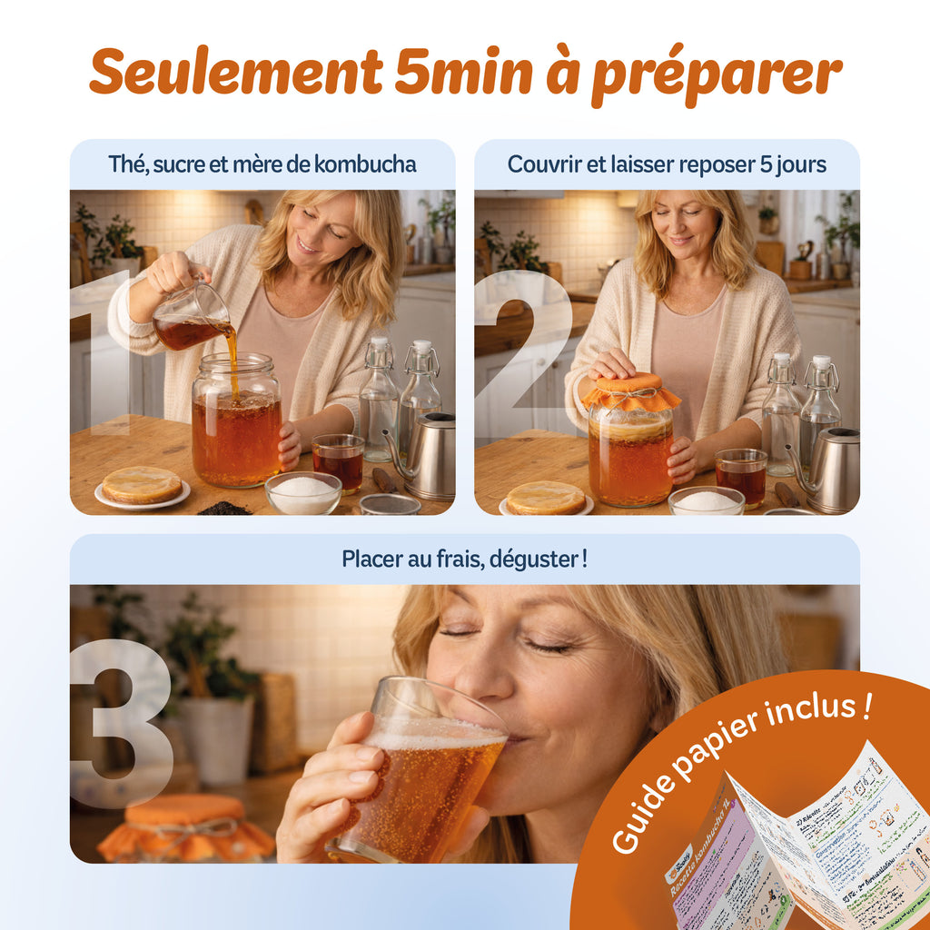 Mère de kombucha BIO