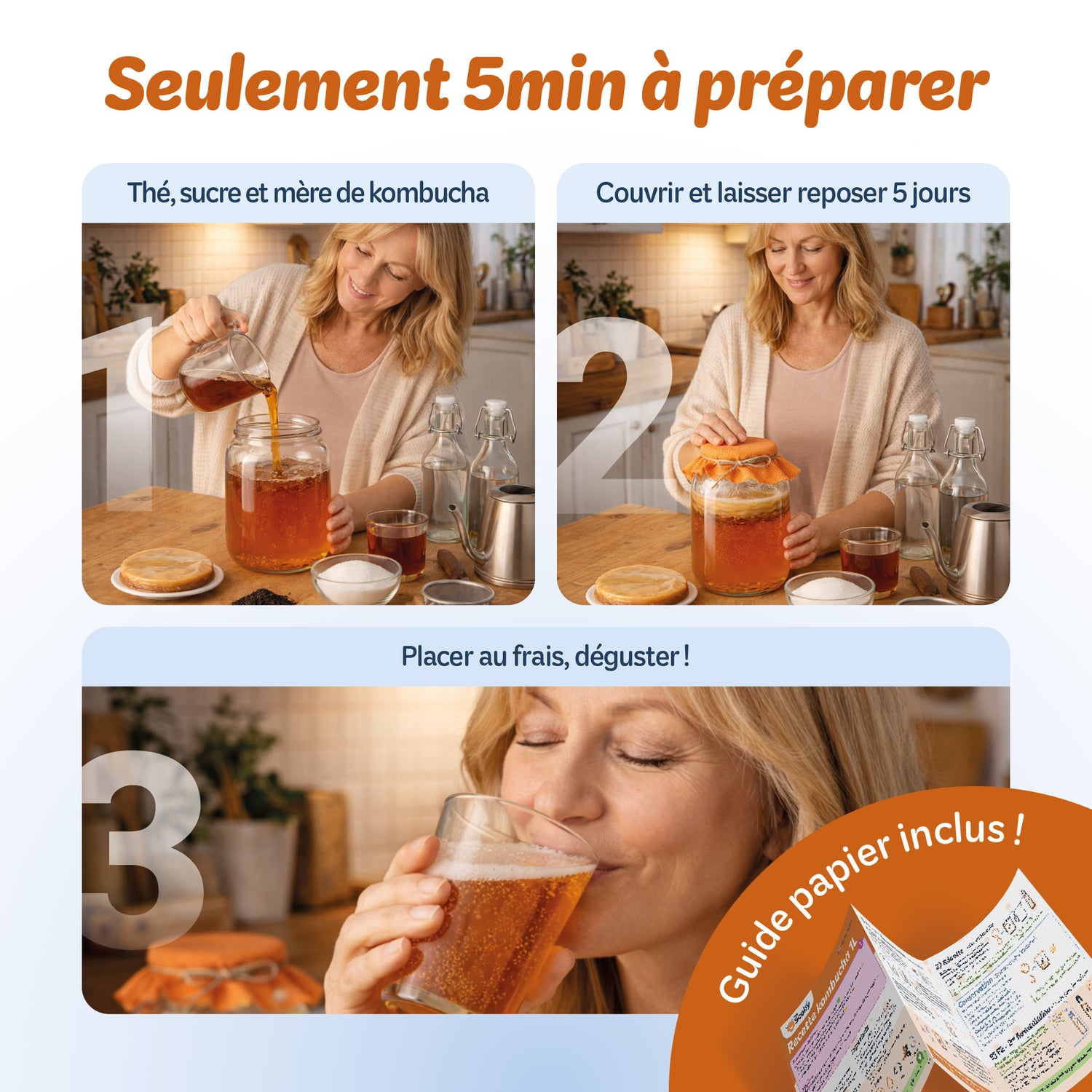 Mère de kombucha BIO