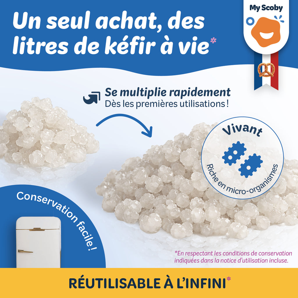 Grains de kéfir de fruit BIO