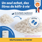 Grains de kéfir de fruit BIO