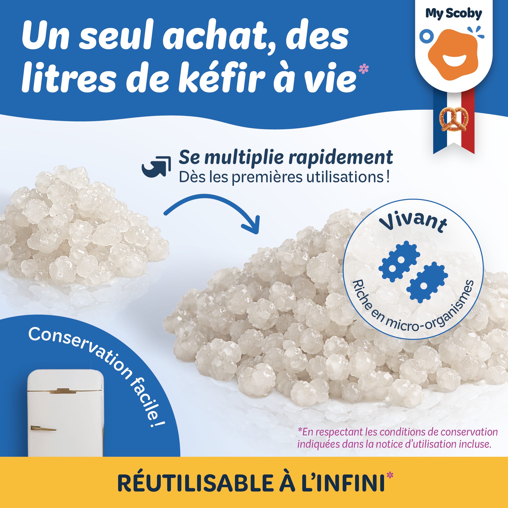 Grains de kéfir de fruit BIO