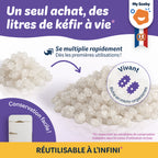 Grains de kéfir de lait BIO