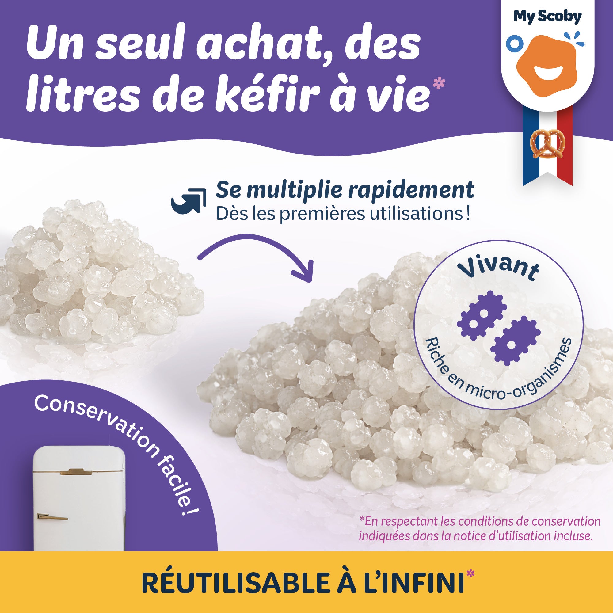 Grains de kéfir de lait BIO