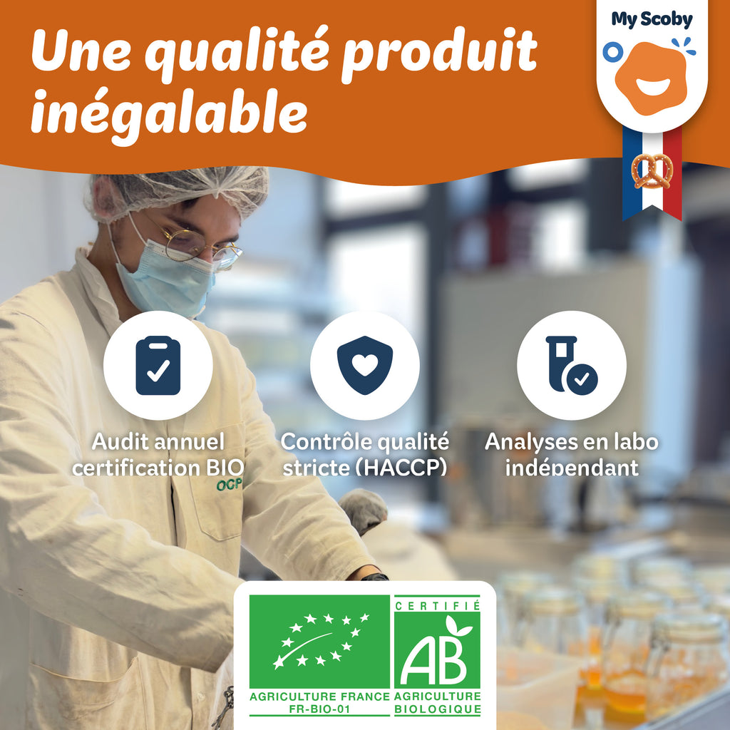 Mère de kombucha BIO