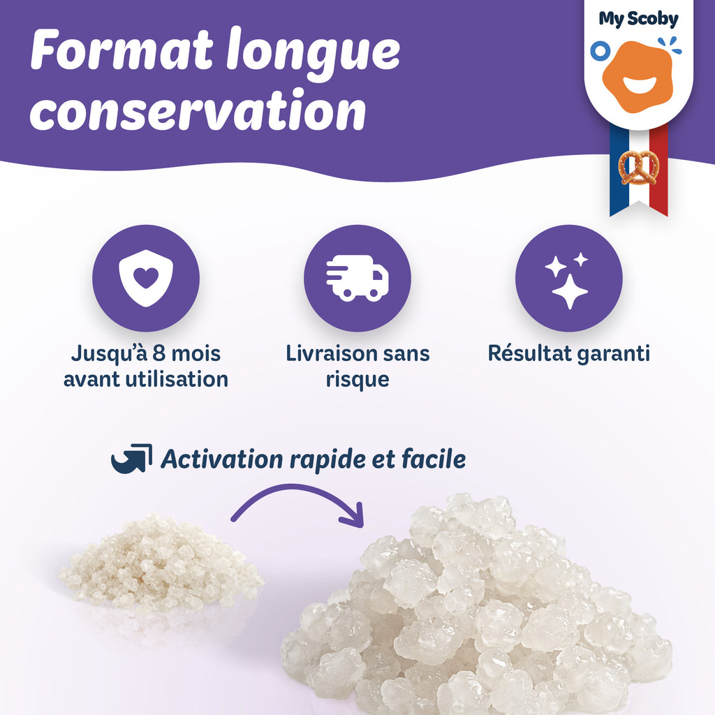 Grains de kéfir de lait BIO