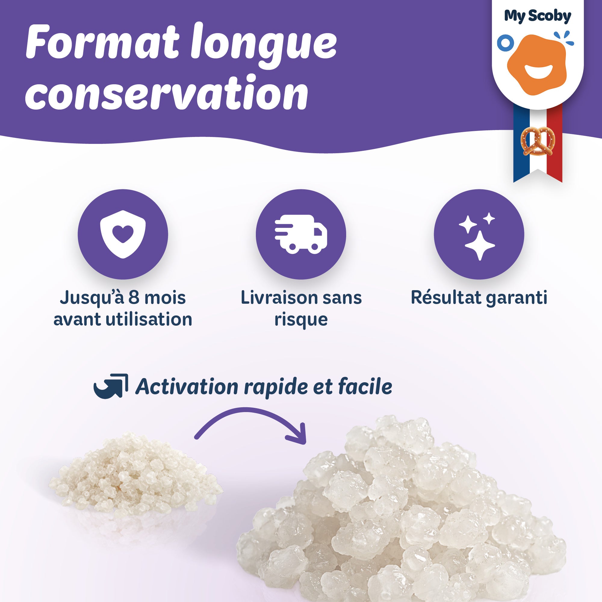 Grains de kéfir de lait BIO