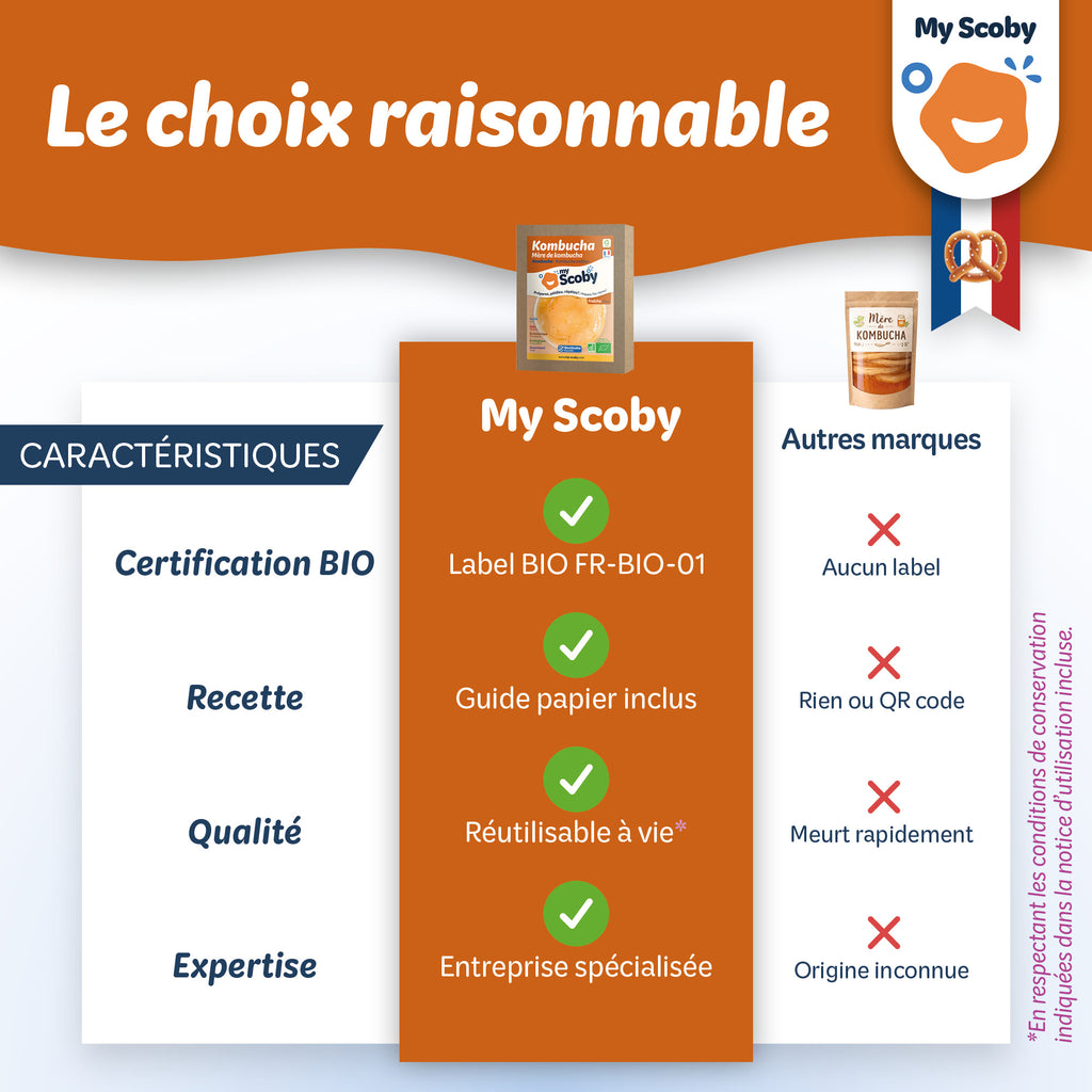 Mère de kombucha BIO