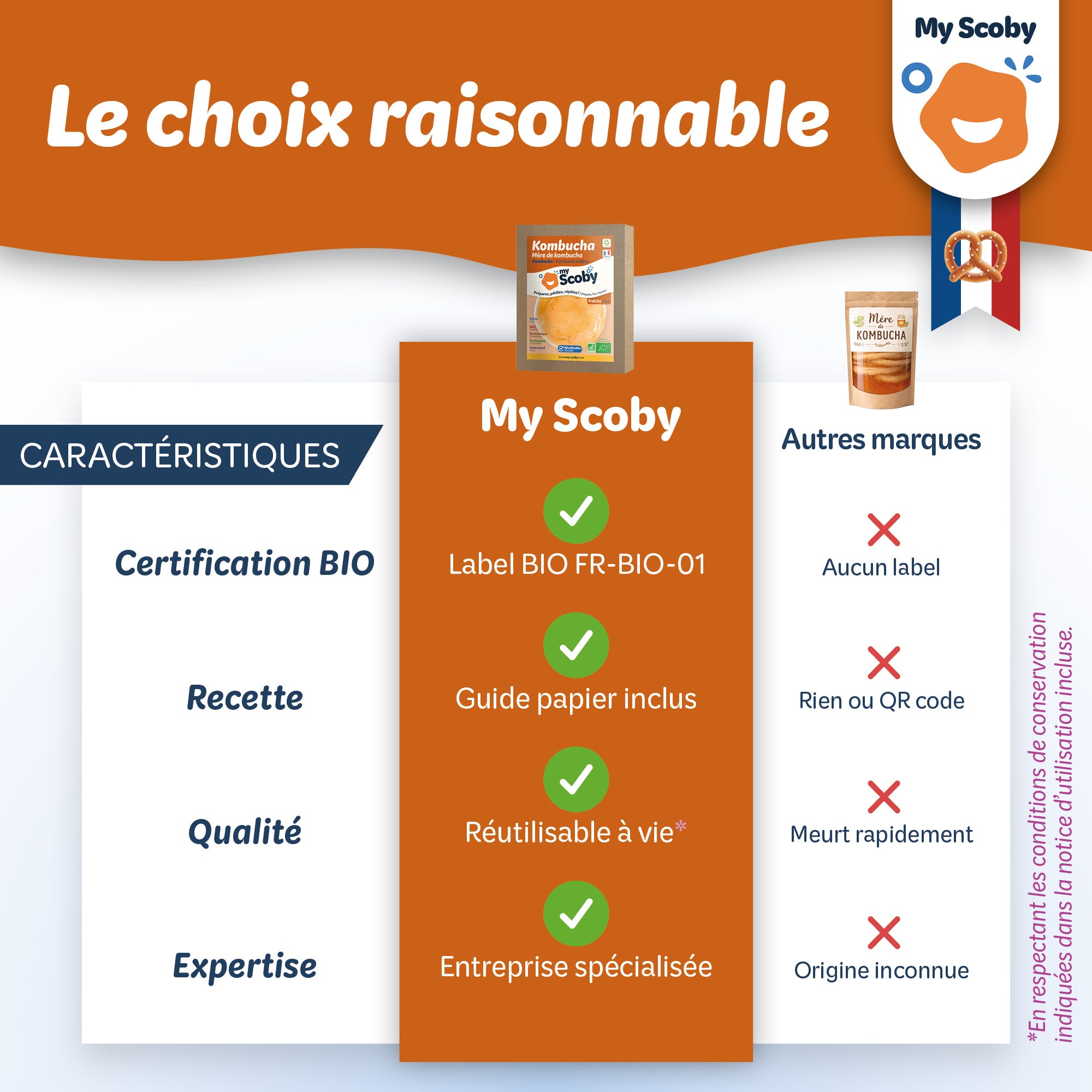 Mère de kombucha BIO