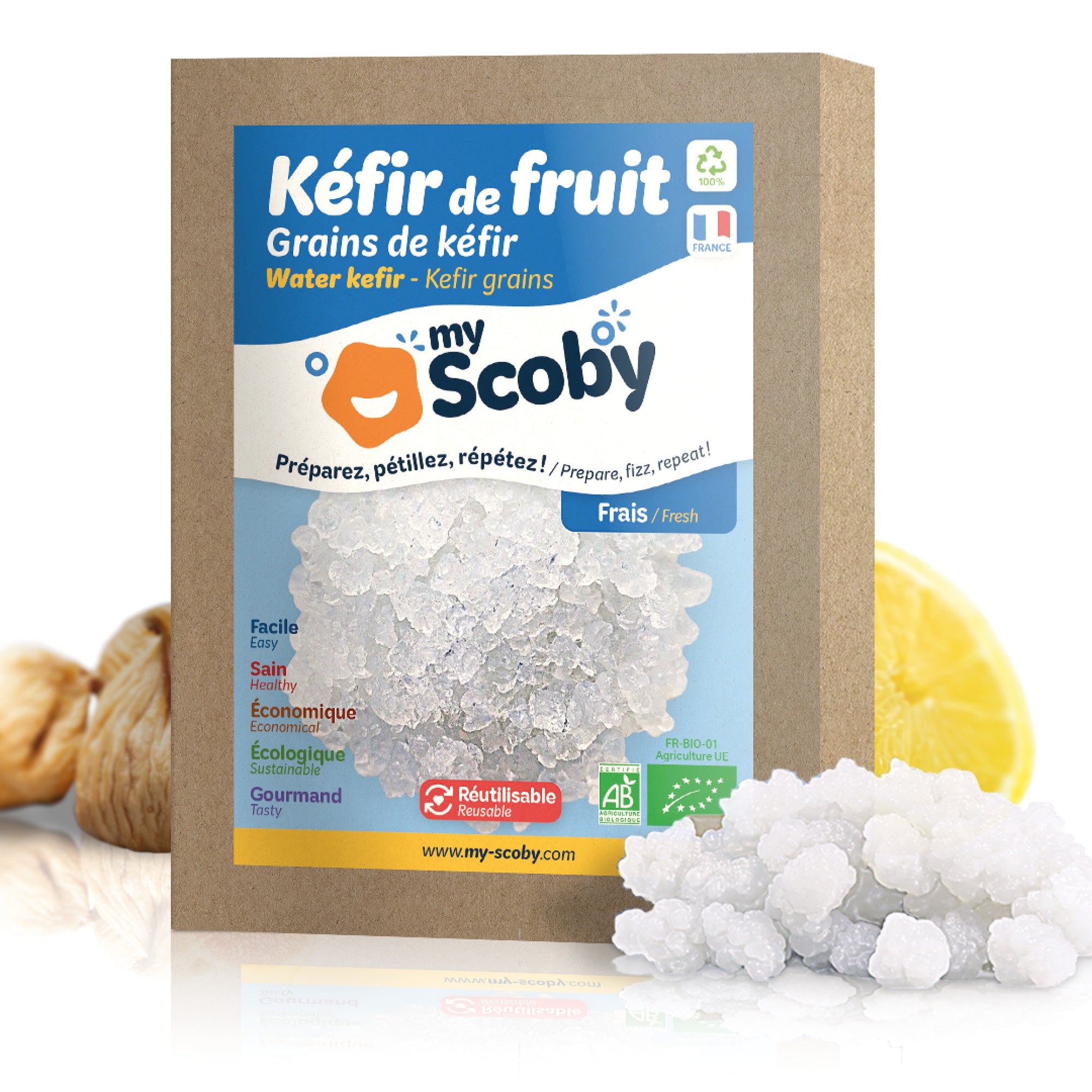 Grains de kéfir de fruit BIO
