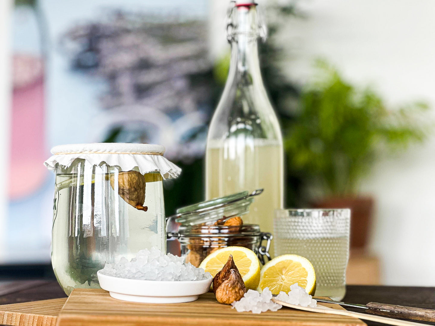 Water Kefir Kit