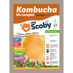 Kit kombucha - Mirakl