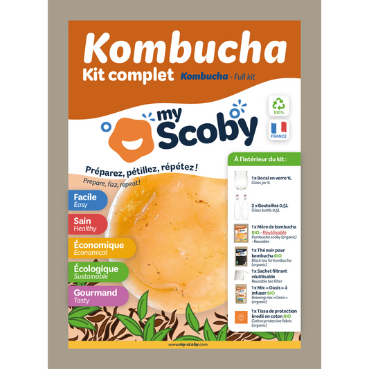 Kit kombucha