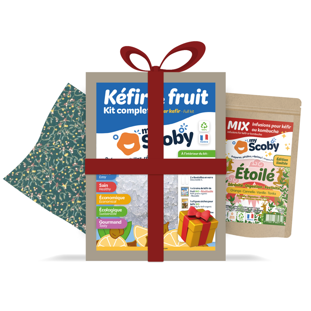 Water Kefir Kit
