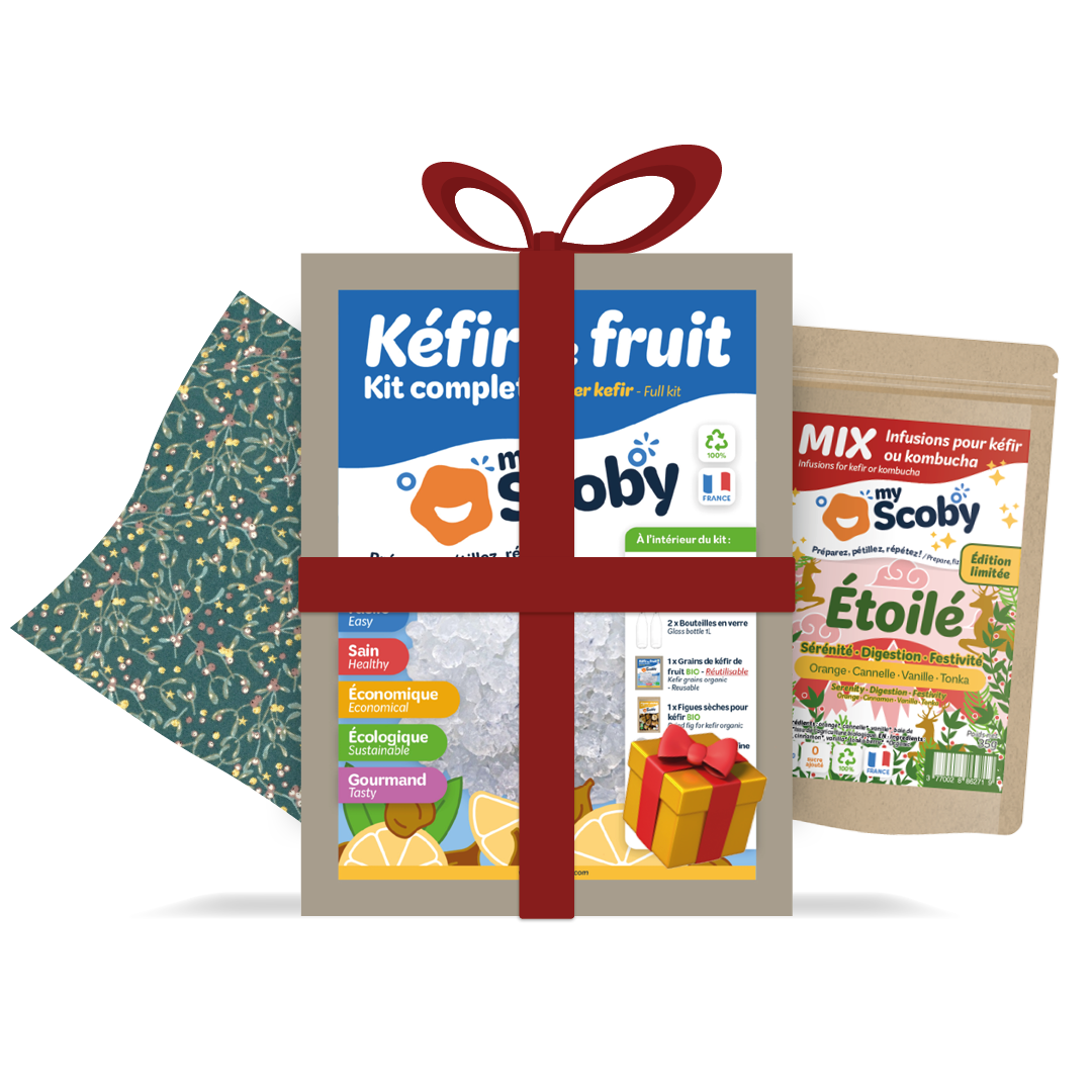 Kit kéfir de fruit - Mirakl