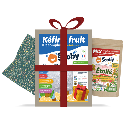 Kit kéfir de fruit