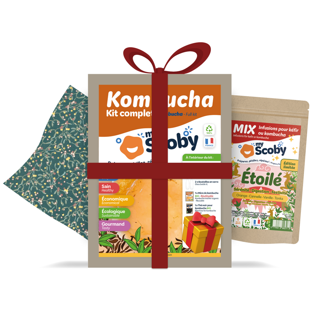 Kit kombucha - Mirakl