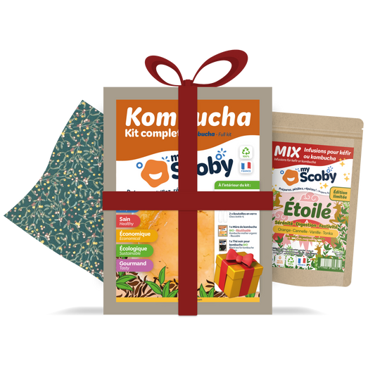 Kit kombucha