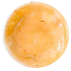 Organic Kombucha Mother