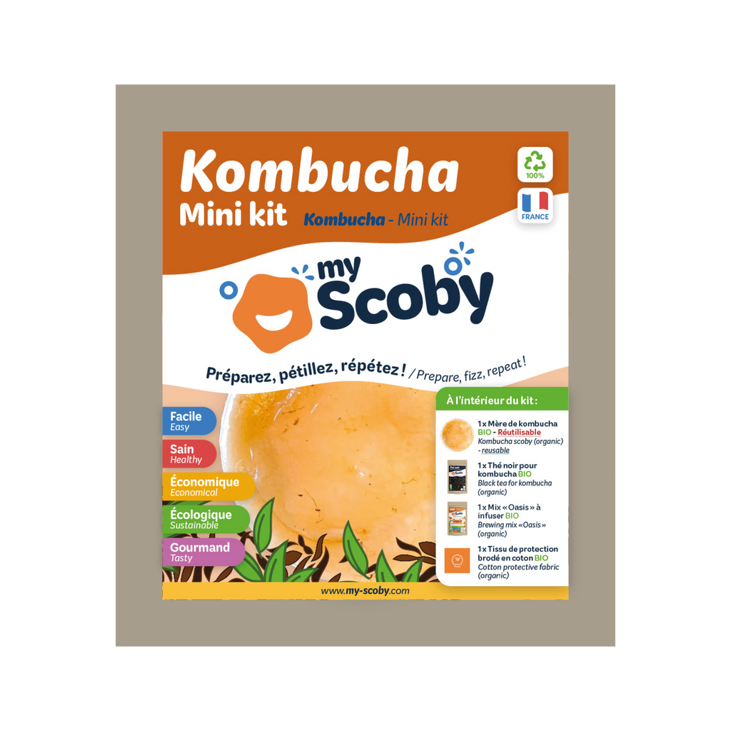 Kit kombucha - Mirakl