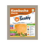 Kit kombucha - Mirakl