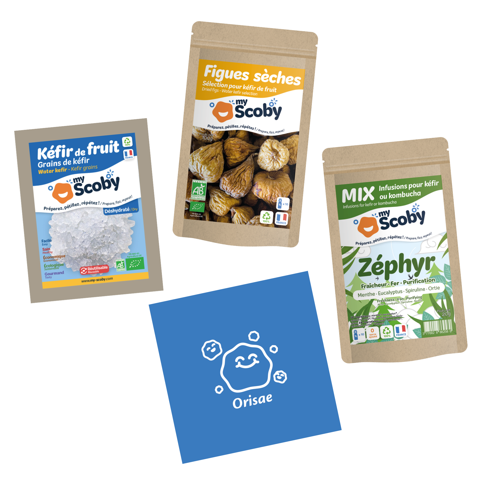 Kit kéfir de fruit – My Scoby