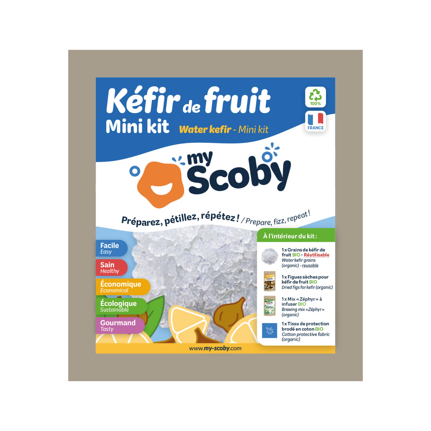 Kit kéfir de fruit