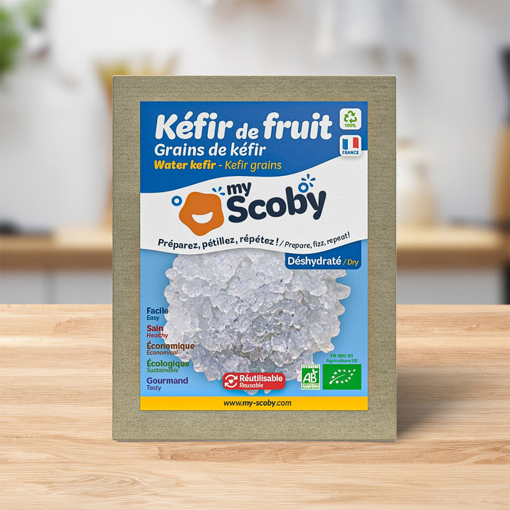 Grains de kéfir de fruit BIO