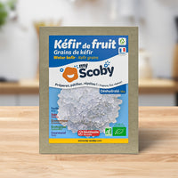 Grains de kéfir de fruit BIO