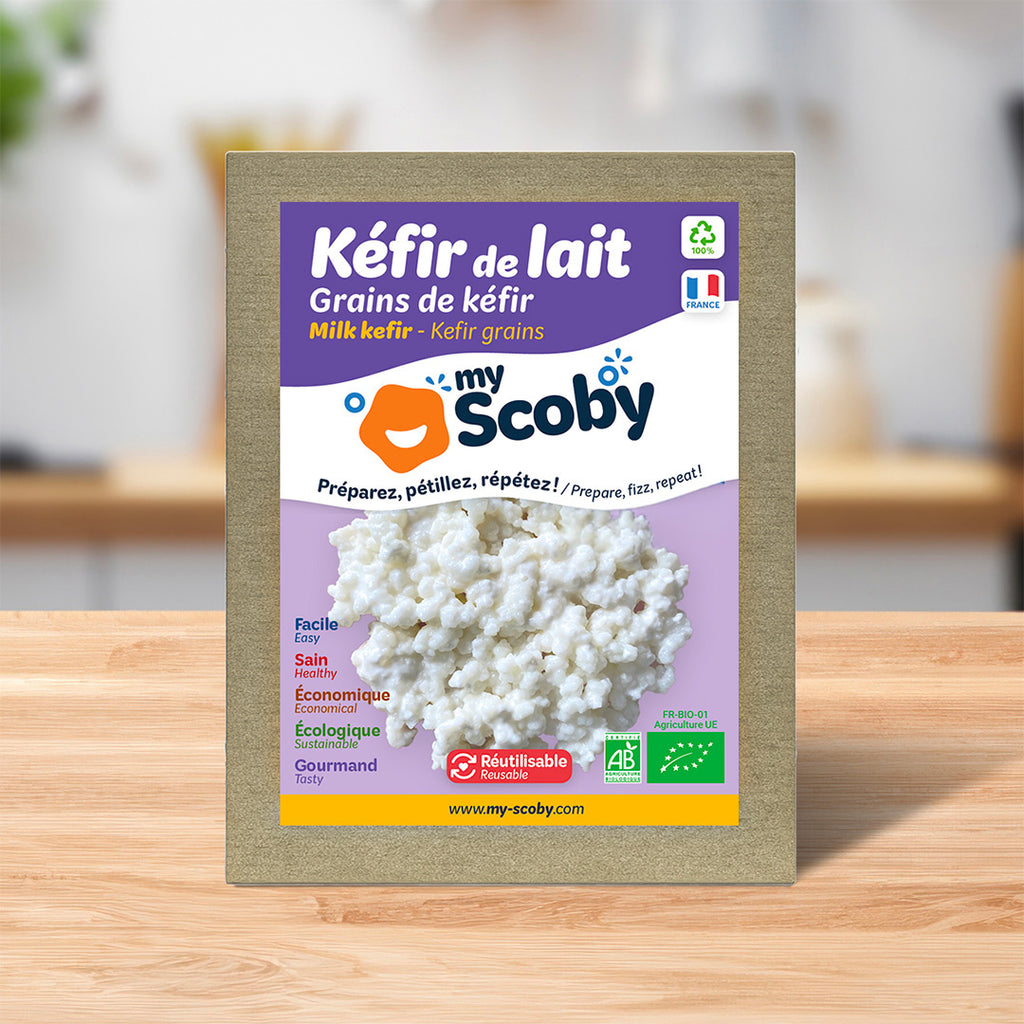 Grains de kéfir de lait BIO